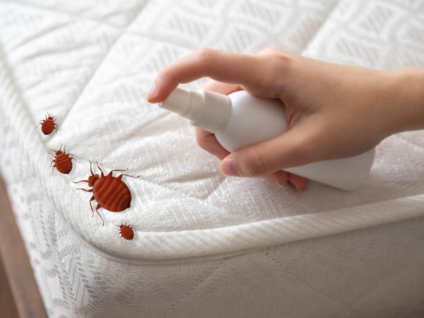 Best Pest Prevention Services  in Eatonton, GA